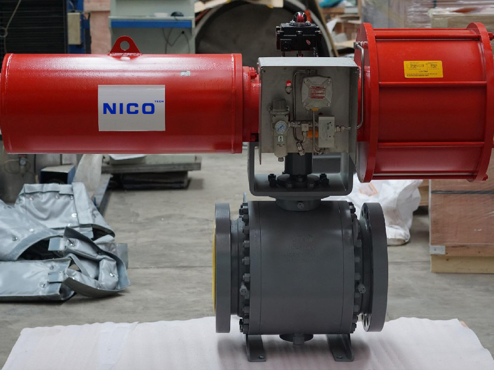 NICO CONTROLS Pneumatic Actuator